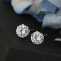 Timeless & Classic Stud Earrings